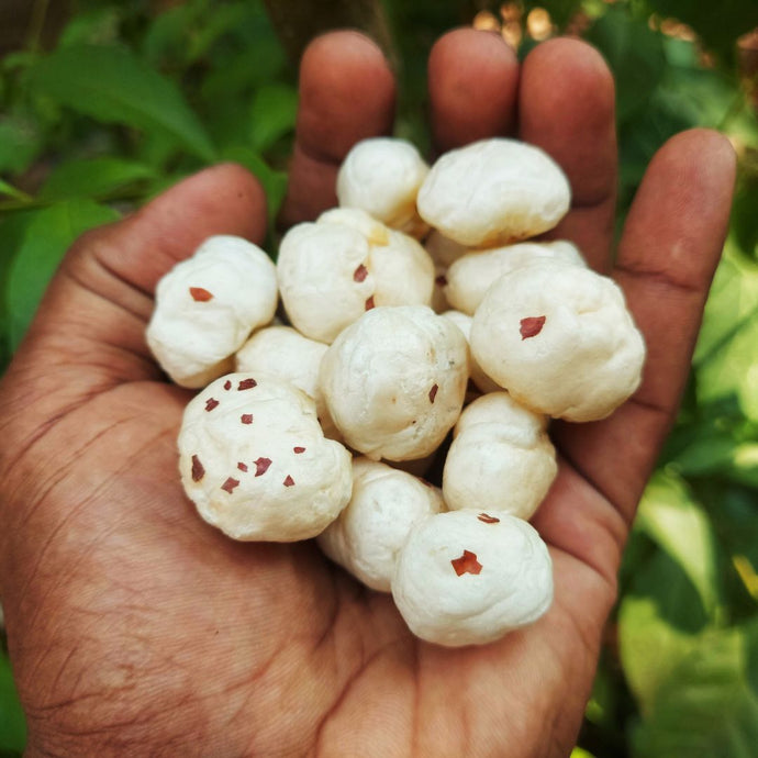 You’ve tried every trending superfood, but have you tried Fox nuts – an ancient superfood hiding in plain sight!